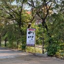 여명 팔탄점 | 여명 본점: 간장게장으로 한정식 찢기