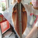 모여라포차