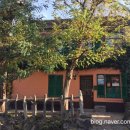 마이몽몽 이미지