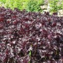 순천농업기술센터 이미지