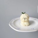 씨오디아이