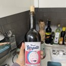 세잎클로버의 꽃말...세잎클로바의 꽃말이 행복이라고~~? 이미지