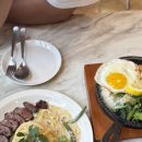 에코 켄넬 이미지