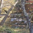사회복지법인 통도사자비원 | 경남 합천 가야산 고불암(해인사 산내 암자)