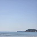 보령-웅천-89 | 연휴에 떠난 서해 여행: 해루질, 바베큐, 유채꽃, 그리고 오션뷰 카페