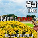 태안 가볼만한 곳, 코리아 플라워파크 가을꽃 박람회 후기
