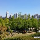 상동주공아파트 이미지