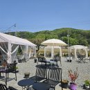 카페로도울 | 용인 한옥카페 달애울 후기 분위기부터 맛까지 솔직 리뷰