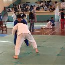 동천백산유술회주짓수