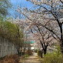중앙역 | 광교중앙역 고기집 소요일 광교 소고기 맛집 후기