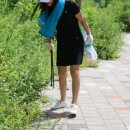 대청천L 이미지