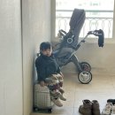 장당계곡펜션 | 청주 근교 애견 키즈 풀빌라 독채 펜션 파크오브드림 캠핑장