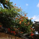 김해수로왕릉 이미지