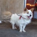 경남목장 이미지