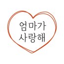 휴 애견미용 이미지