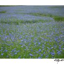 만사목장 이미지