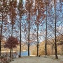 1276 | [충주카누캠핑장] 충주 호수뷰 보면서 물멍한 캠핑후기 A사이트 / B사이트