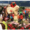 곡성-110 이미지