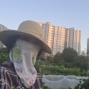 희정이네농장 이미지