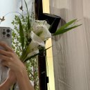 청목장갑 | 셀프웨딩촬영부케 만들기(feat. 카라,거베라,작약,쥬밀리아 장미,기타 풀떼기 소재들)