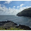 뉴월드시스템 이미지