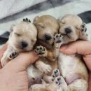 6에프 네이버블로그