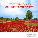 플라워랜드 - 부천시 소사구 성주로 195-4 | 플라워랜드