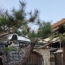 나무향기 한증막 이미지