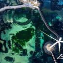 하얀날개 이미지