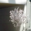 소명 행정사사무소 이미지