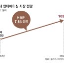 올드피부관리