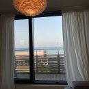 세화 엘라 이미지