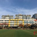 서초중학교 이미지