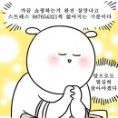 코드쿠키