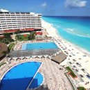 파라다이스 이미지