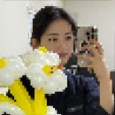 컬러(color)그리다 | 셀프 눈썹 탈색✨코스노리 이지 브로우 톤 체인저 내돈내산 사용 후기(Before/After사진 있음)