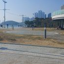 해운대박사부동산중개법인 이미지