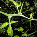 탱자한의원 이미지