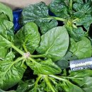 남해-312 이미지