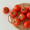 6시 내고향 1월 21일 루비벨 토마토 구매하기 농업회사법인 대숲연합사업단