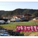 봄뜰에농장 Daum카페