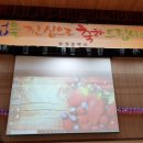 송정체육관 이미지