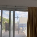 비요르크 이미지