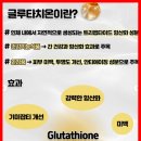백옥