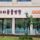 나아라 동물병원 이미지