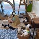 고양이미용&호텔 냥집사 이미지