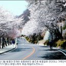 푸른호수 이미지