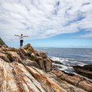 순환의 축복 이미지