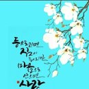 네티 이미지