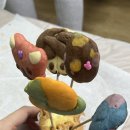 쿠키플레이&테라피